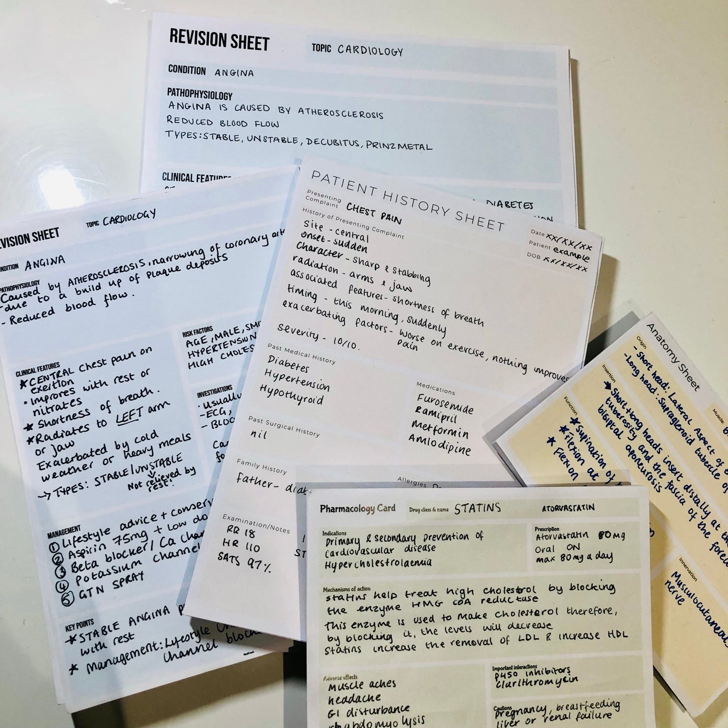 The Ultimate Medical Student Bundle – Clinical, Pharm & Anatomy Notepads