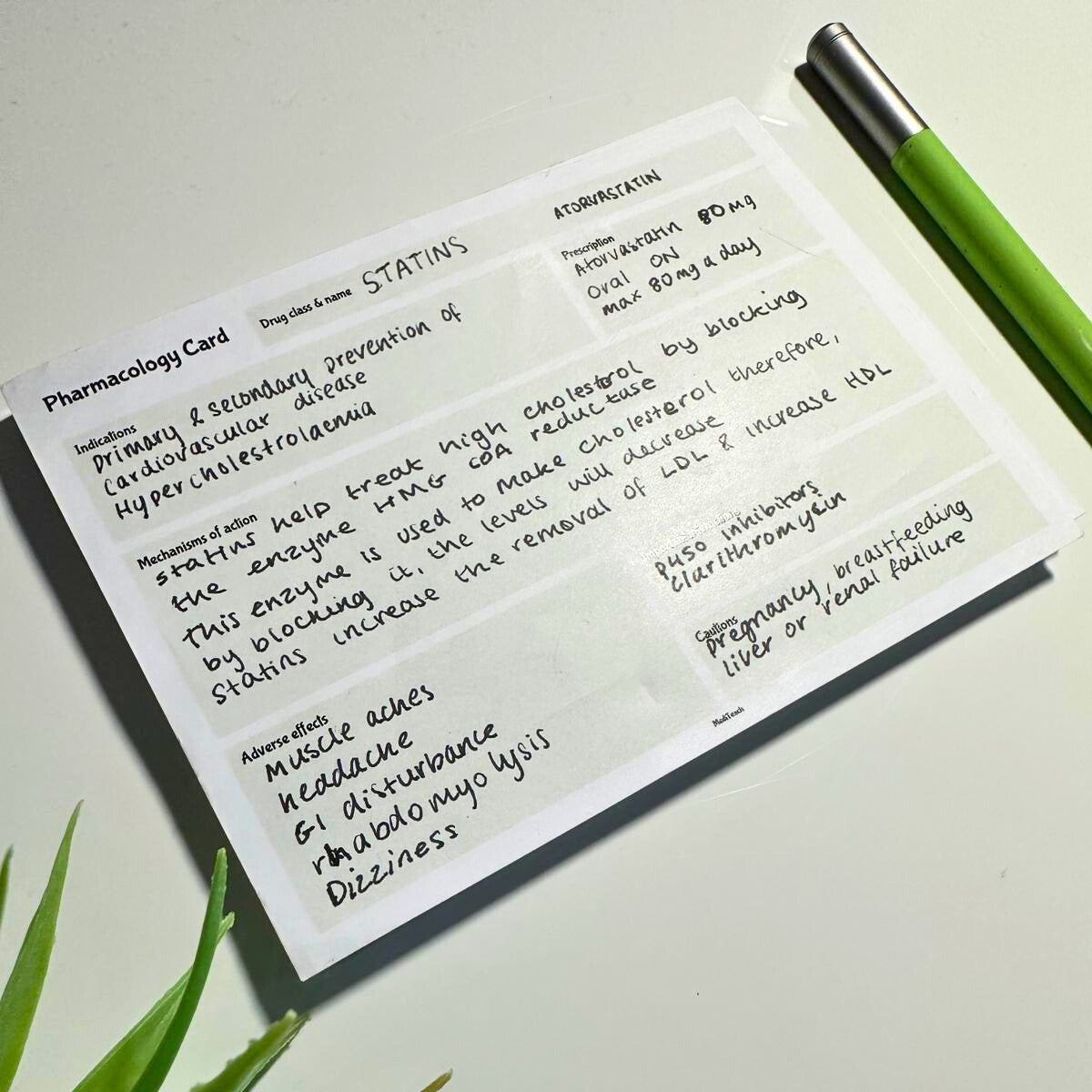 The Ultimate Medical Student Bundle – Clinical, Pharm & Anatomy Notepads