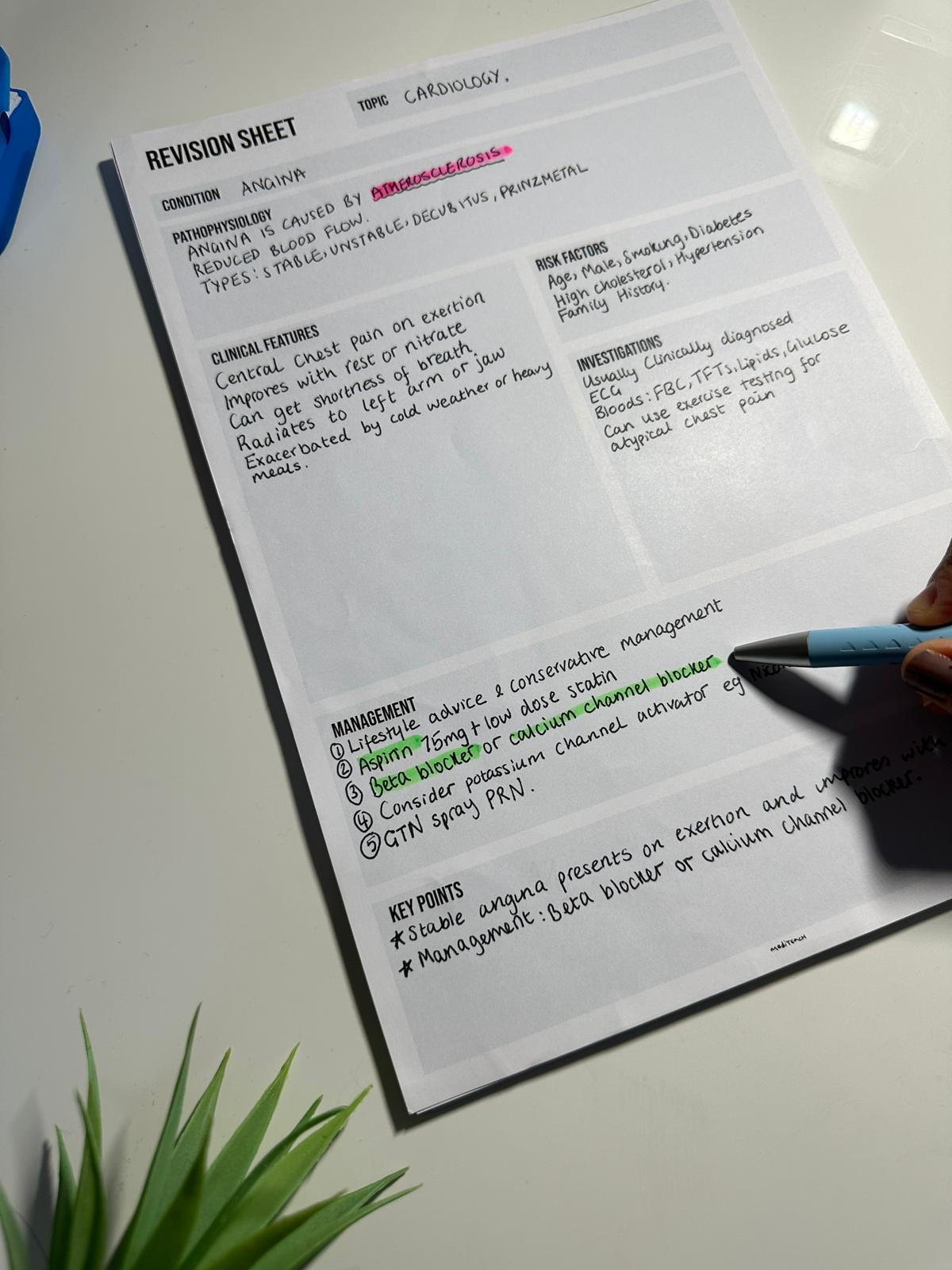 The Ultimate Medical Student Bundle – Clinical, Pharm & Anatomy Notepads