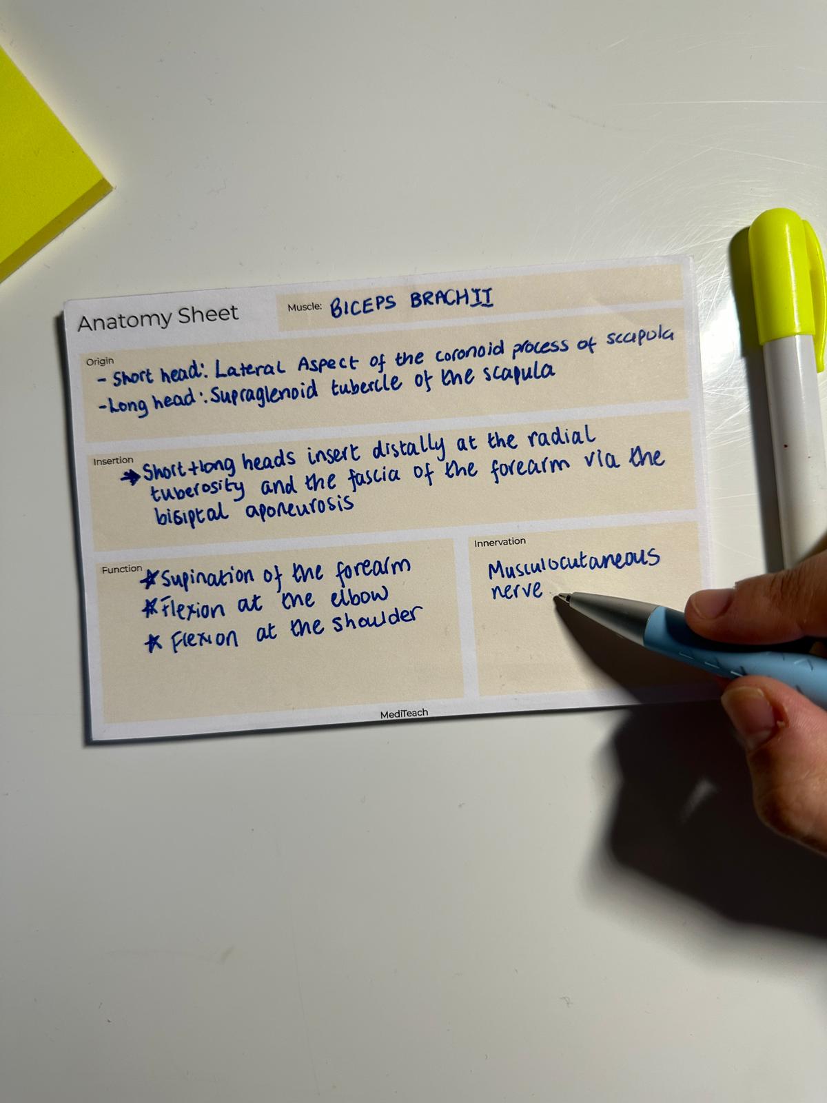 Anatomy revision notepad being used by medical student for easy anatomy learning