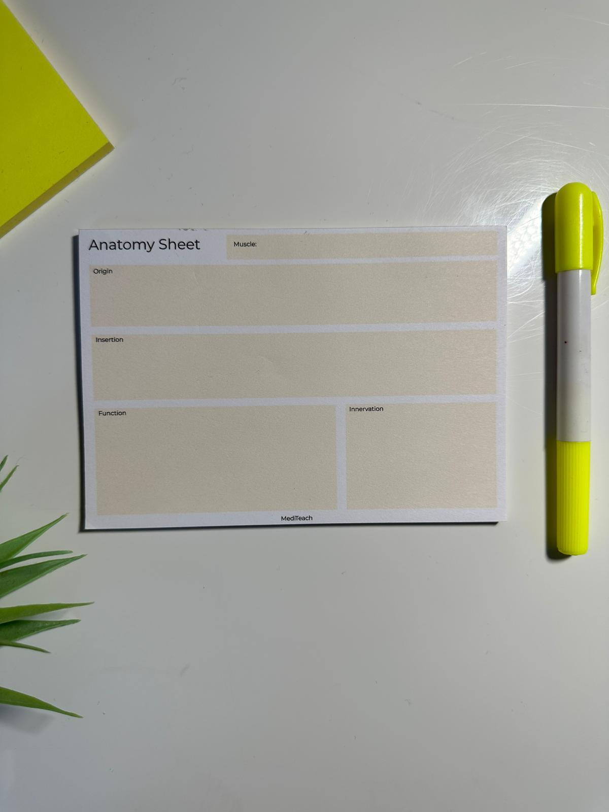 Anatomy revision notepad with template sections for active recall learning